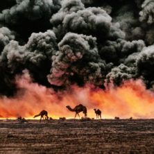 Camels and Oil Fields, Al Ahmadi, Kuwait, 1991. © Steve McCurry